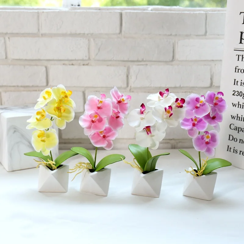 High quality ceramic orchid pot phalaenopsis orchid for home decoration