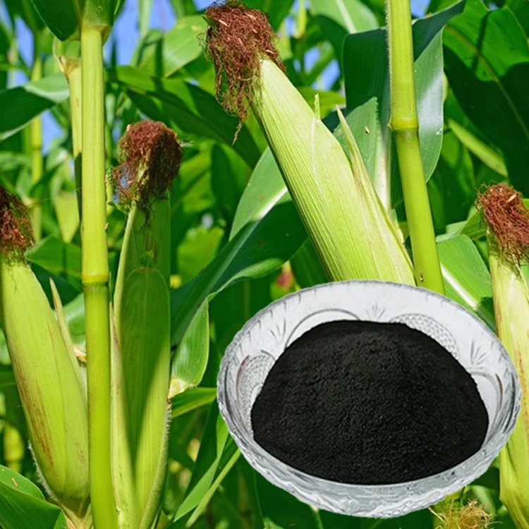 China Ningxia Humate OEM ODM organic humic acid fulvic acid mineral source potassium fulvic humate powder
