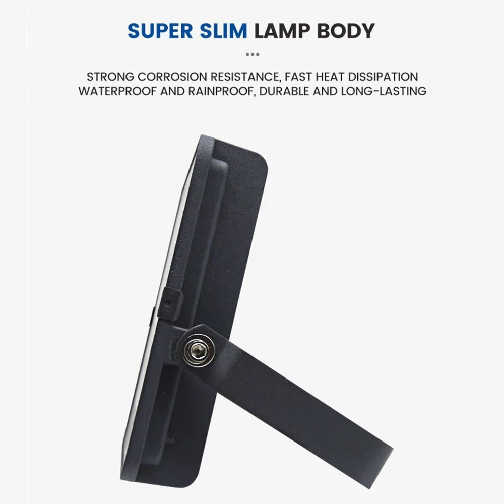 Remote Rgb Ac220V 10W Outdoor Wall Ip65 Waterproof Led Flood Light For Garden Landscape Event Holiday Hotel