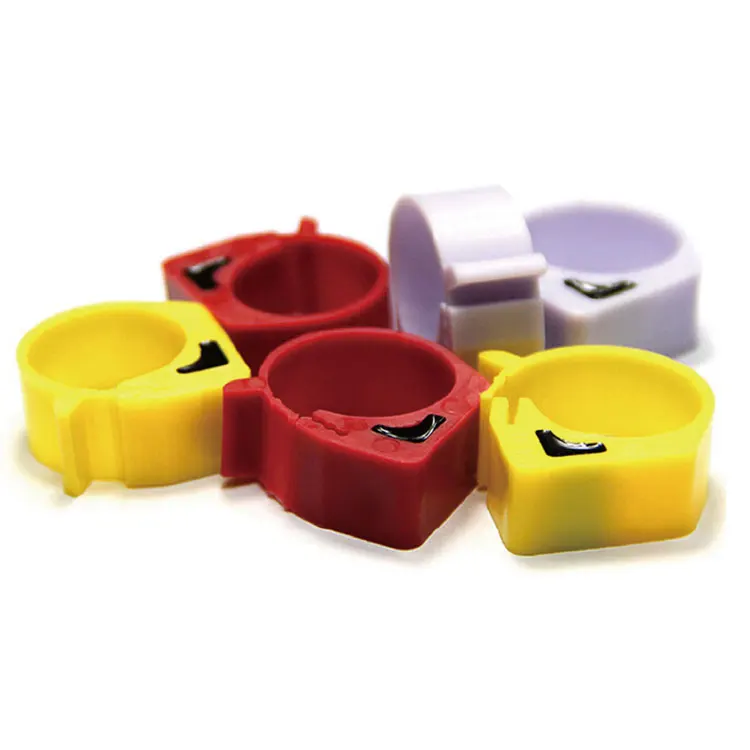 Pigeon foot ring electronic tag