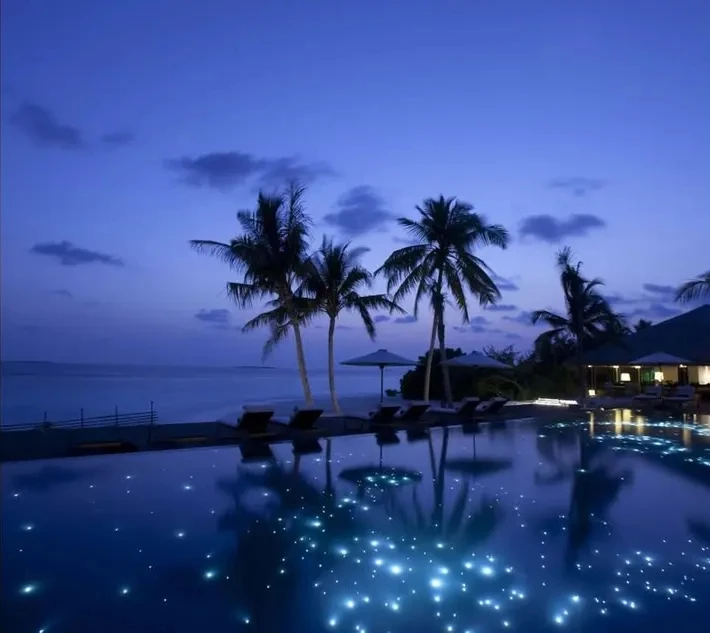 Fibre Optic Light for Swimming Pool Lighting with Black Jacket 1mm Fiber Cable