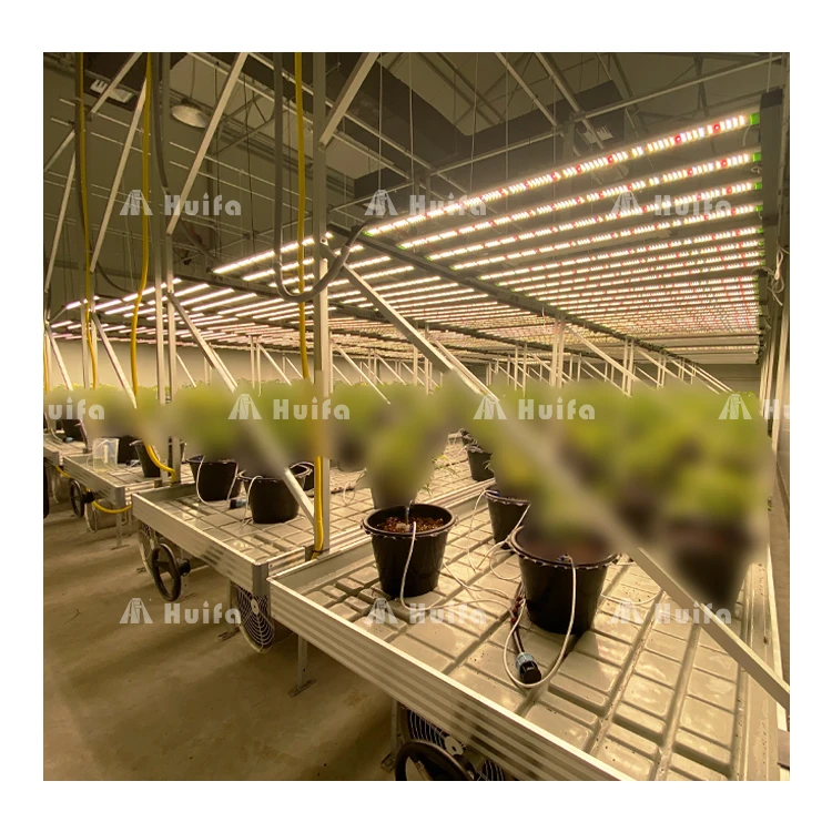 HUIFA Seedbed Plant Nursery Equipment Movable Grow Table Semillero Equipo De Vivero Mesa De Cultivo Movible
