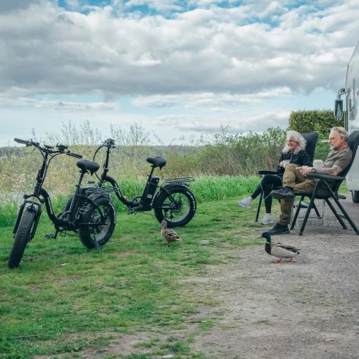 EU US warehouse 750W electric bike bicycle motorbike exercise electric city bike folding bicycle mountain ebike road bike