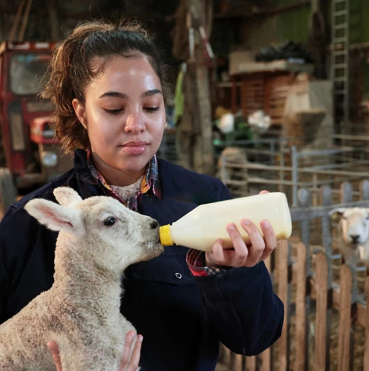 Sheep Goat Milk Nipple High Quality Sheep Feeder Nipple Pacifier Soft Silicon Sheep Milk Nipple