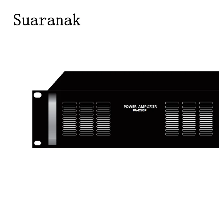 PA-450P Professional Public Address Power Amplifier System 450 Watt AC 70V 100V Support DC24V battery-powerd work for Market