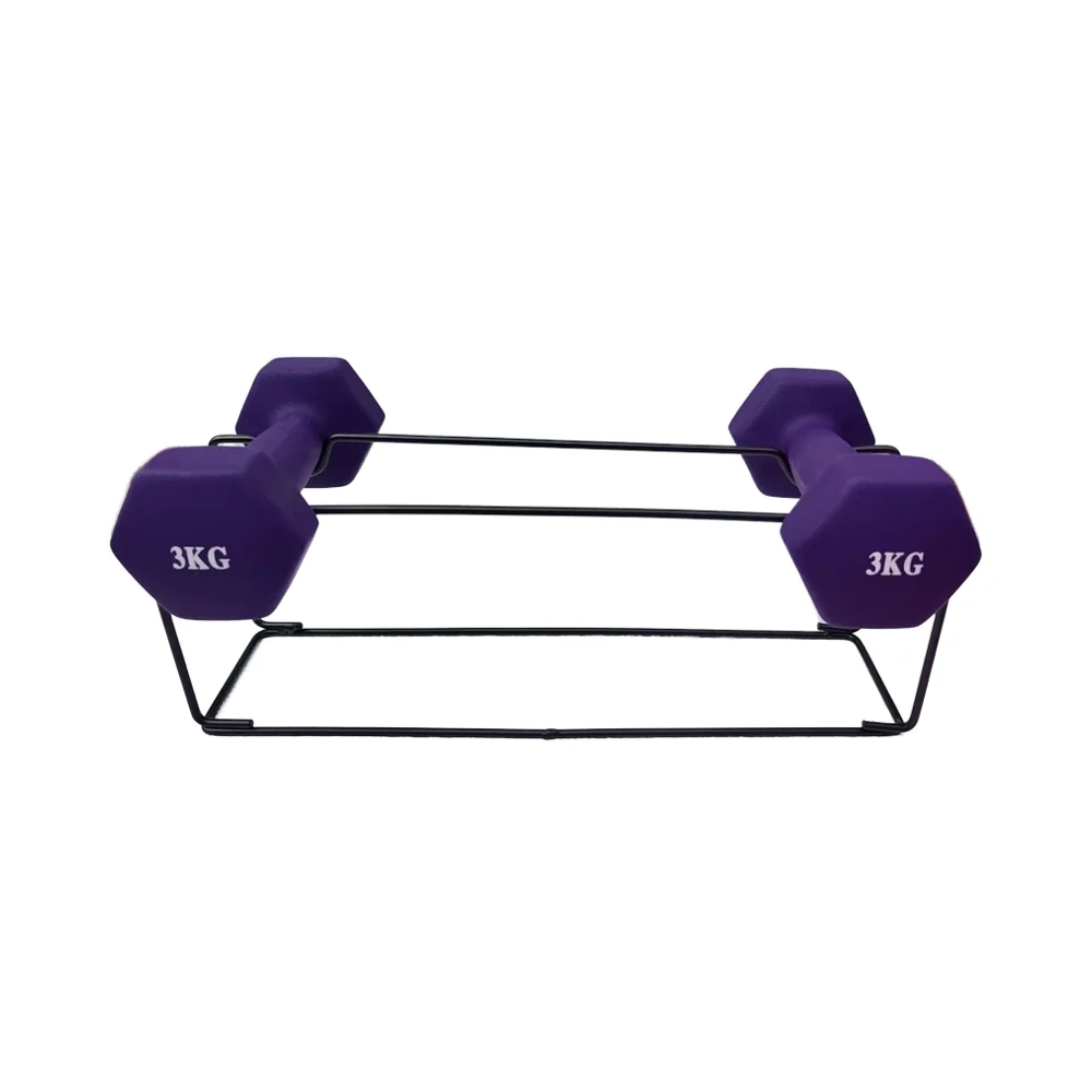 Simple pair of household dumbbell rack with a pair of dumbbells thickened steel rods made of small dumbbells special Black