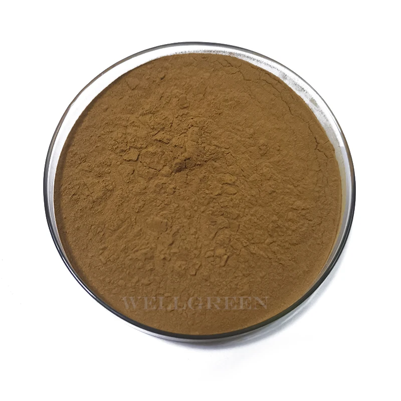 
100% Natural Ivy Leaf Extract Powder Bulk 10% Hederacoside C Ivy Leaf p.e. 