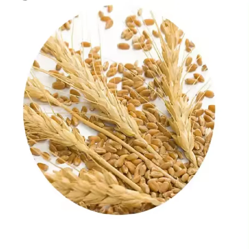 wheat gluten 25kg/bag  gluten for Bread, pasta, etc