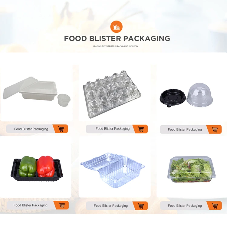 Wholesale Pet Transparent Plastic Birthday Cake Cylinder Box Packaging Design Plastic Cake Box