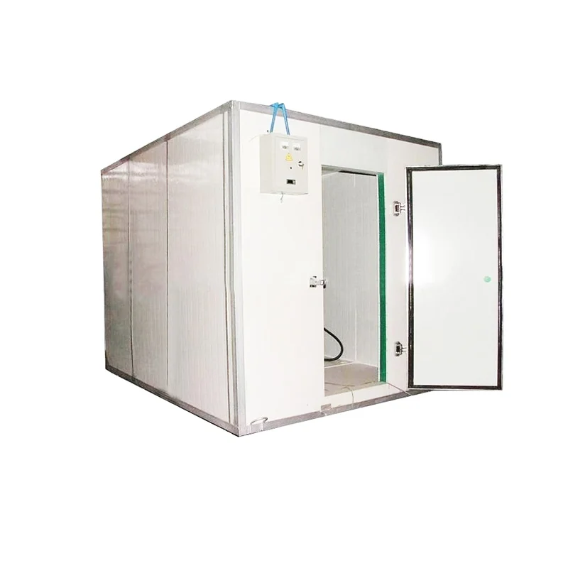 Chicken freezer storage room, cold room data logger, cold freezer room for meat and poultry
