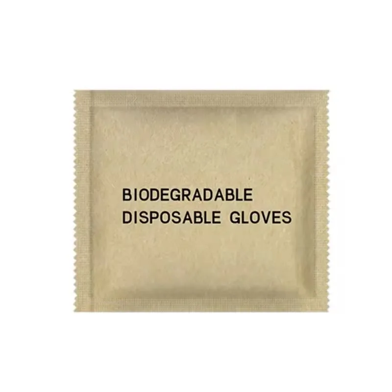Fully degradable biodegradable environmentally friendly Practical Keep Cleaning Transparent PLA Clear Plastic Disposable Gloves