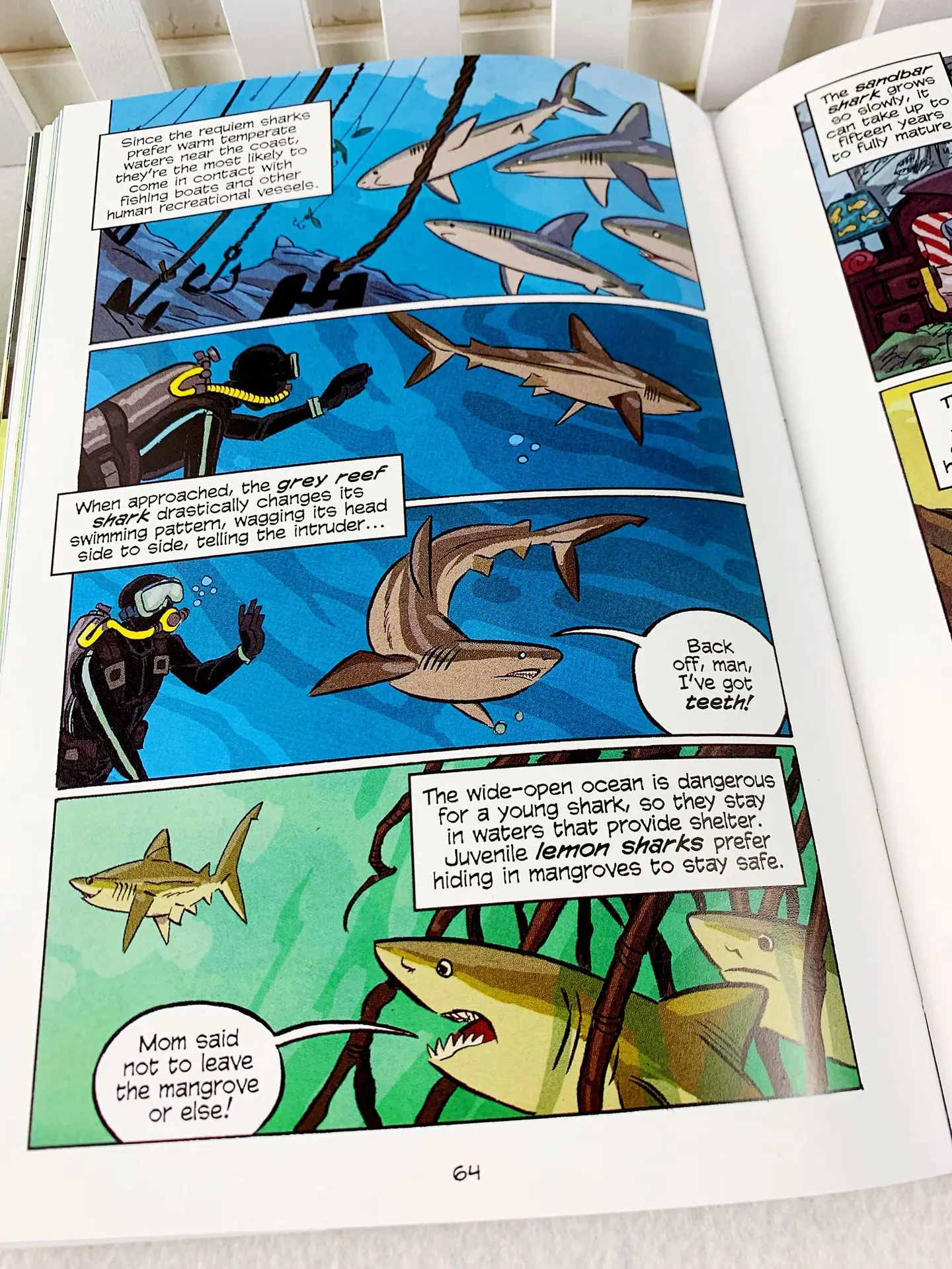 Wholesales 19 pcs/set Science Comics Popularization of Science Story Books for Kids