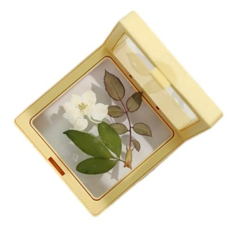 Wholesale Modern Desktop Nature Beauty Square Plastic Frame Flower Pressing Toys