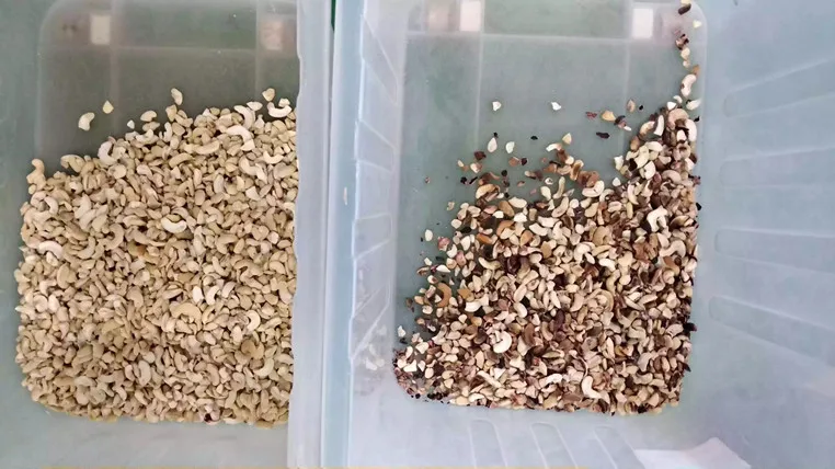 Wenyao Rice Peanuts Bean Plastic Grotech Macadamia Seed Taiho Color Sorter Machine Meyer