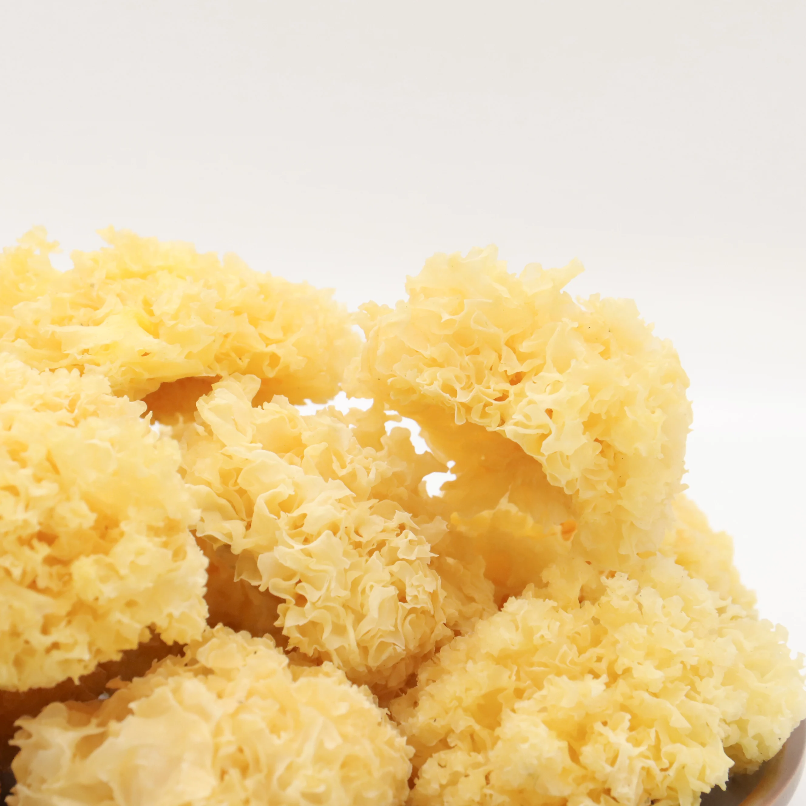 Оптовая продажа, сушеный гриб тремеллы, органический Золотой грибок тремеллы