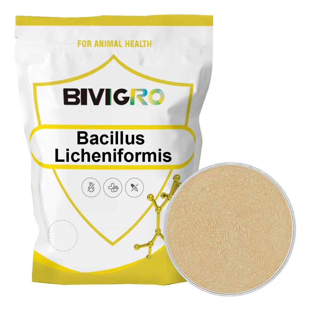Aquatic Water Treatment Feed Grade Bacillus licheniformis 1x10(11) cfu/g