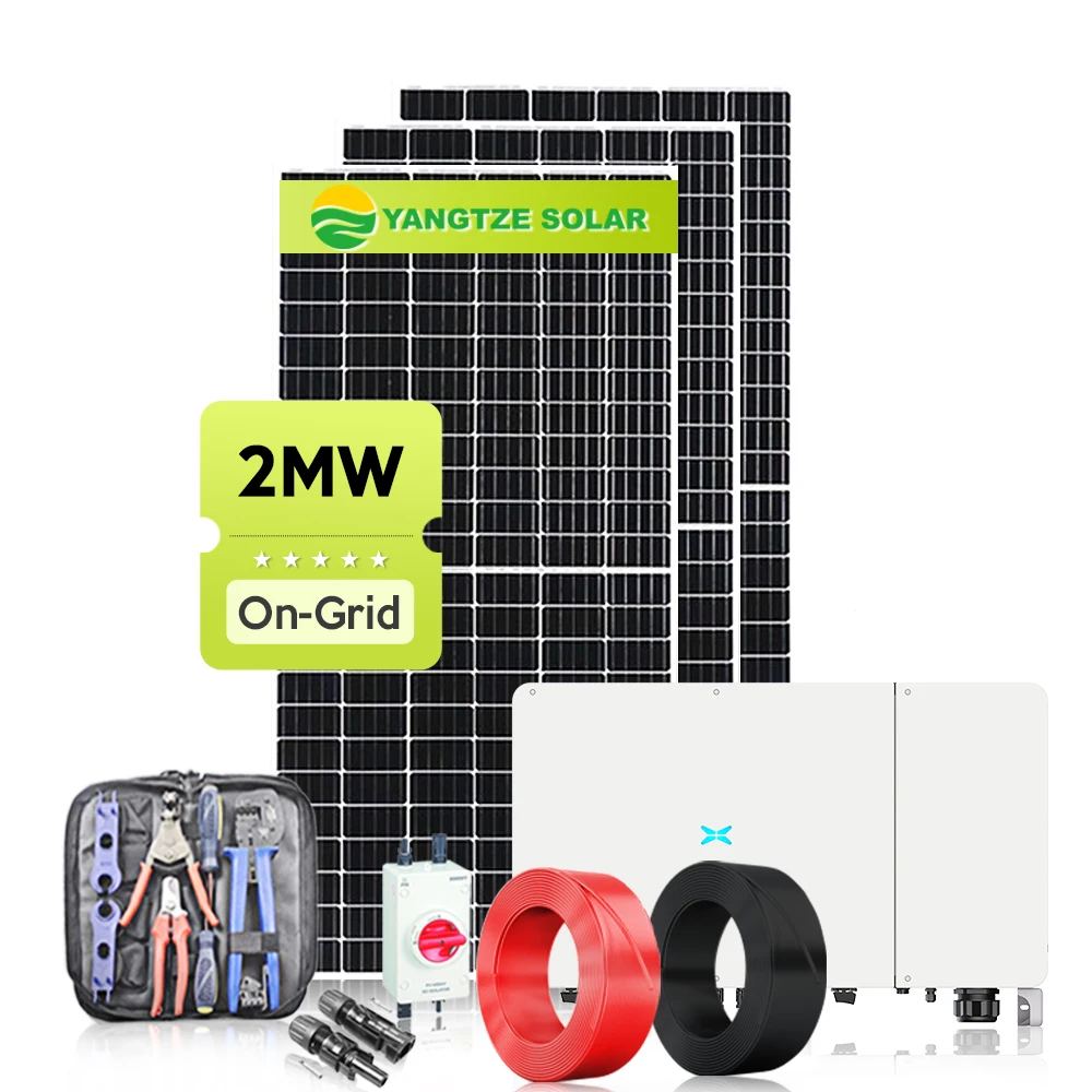 Yangtze Solar 2 MW (2000 kW) grid-tied solar panel manufacturer solar system solar plant