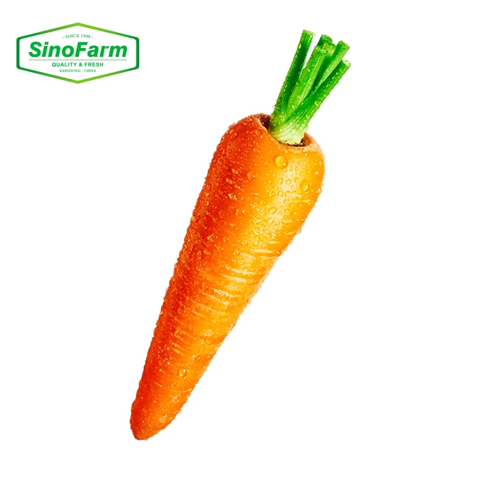 New Crop Fresh Organic Vegetables Wholesale Carot/carrot Seeds Price of Carrots in Bulk for Export