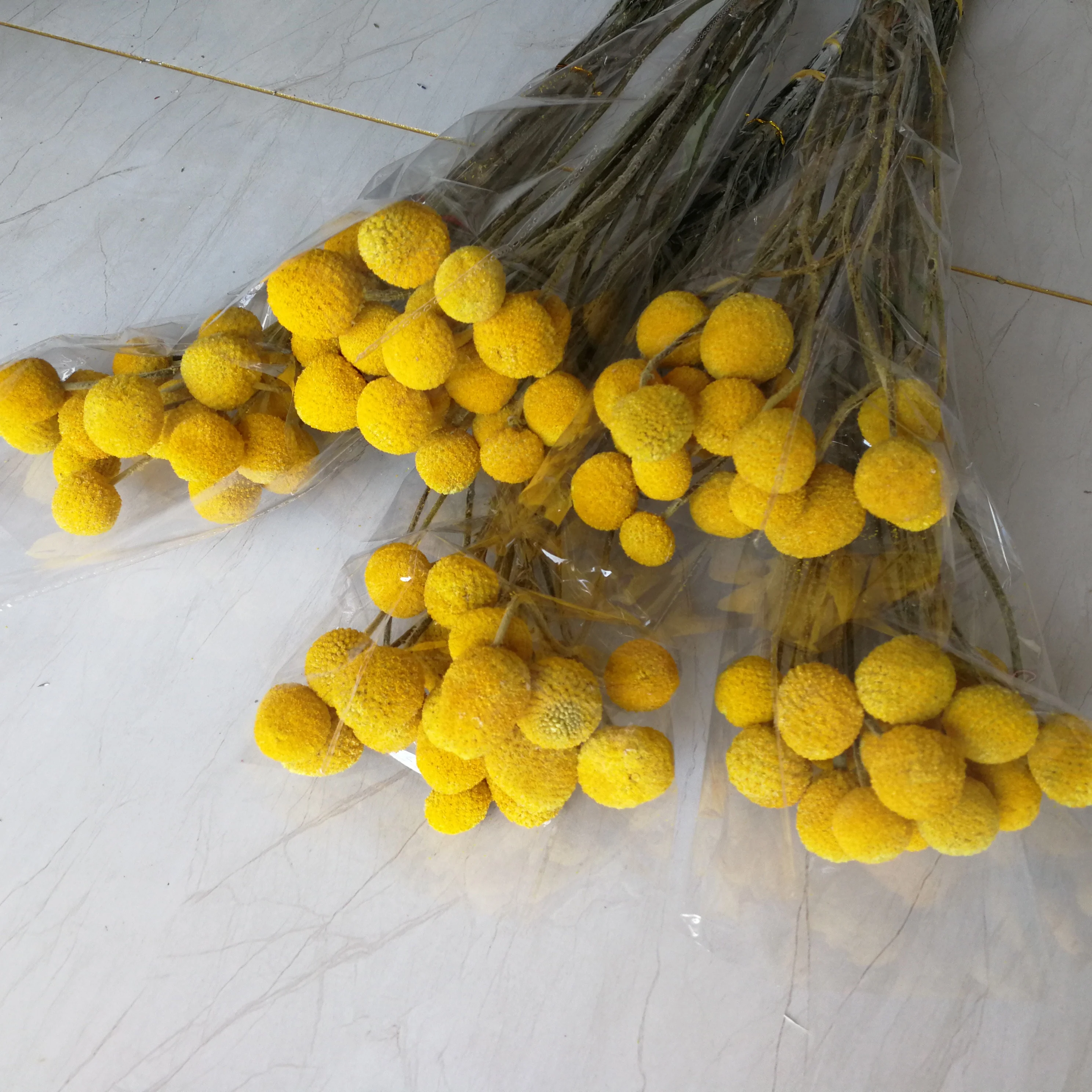 Natural Caspedia flower dry golden billy ball bunch for decorative flower