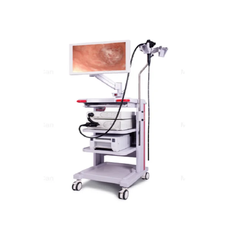 A-Faith 2022 VME-92S Medical Endoscopy System with Electronic Video Gastroscope And Colonoscope Video Endoscape