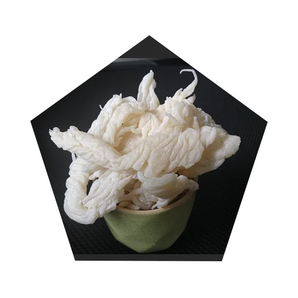 
Factory Supply Chlorosulfonated Polyethylene Special Synthetic Rubber Raw Material CSM 