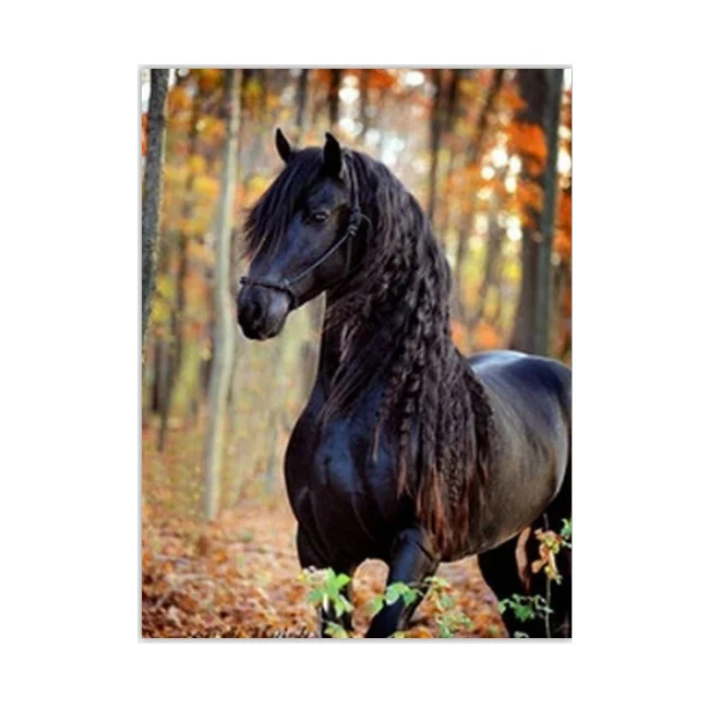 chenistory DZDP763 horse diamond painting  full drill animals  picture Embroidery Paintings Art DIY 5D Diamond Painting Kits