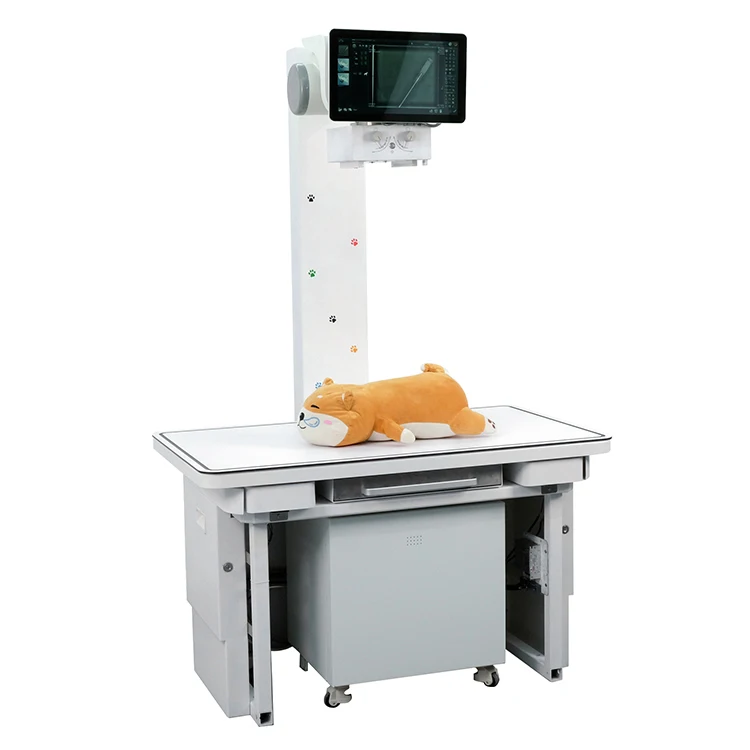 Animal Portable Computed Medical Xray Equipments High Frequency Veterinary Dog DR Detector X Ray Machine Digital Vet x-Ray