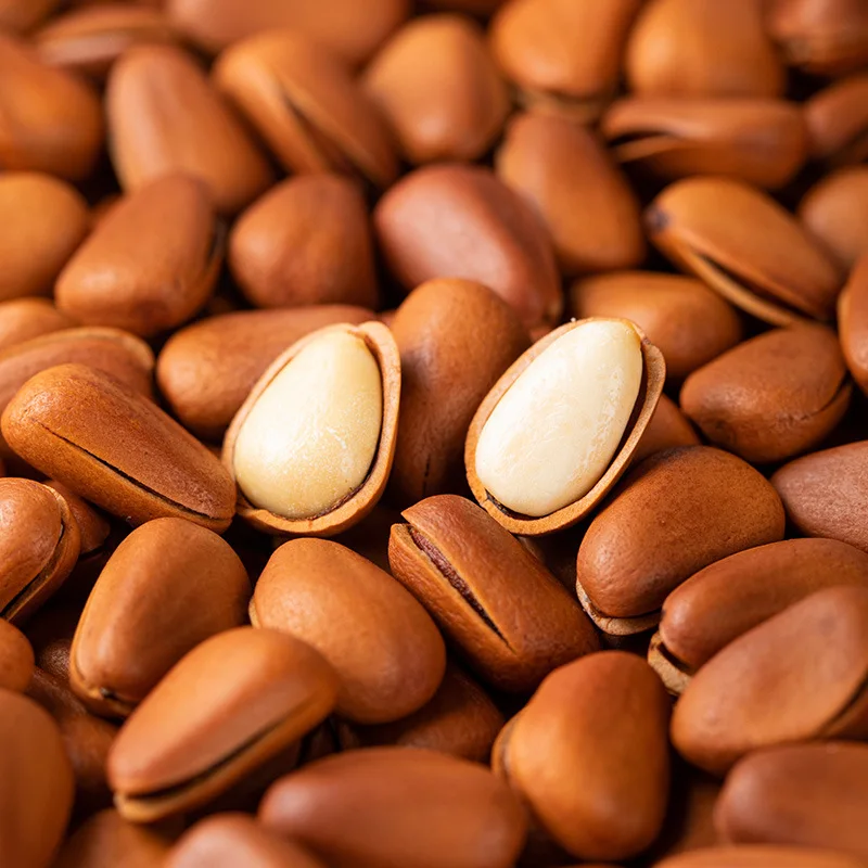 100% Nature Pine Nuts Wild Pine Nuts Organic Pine Nuts Kernels With Shells Wholesale Prices