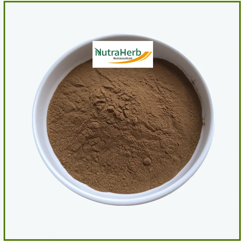 Hot Sale Olive Leaf Extract Powder 20% 40% 70% Oleuropein