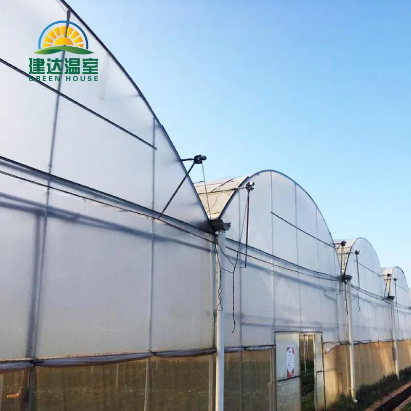 SUNSGH Made in China Greenhouse Agricultural Agriculture Product Production Green House