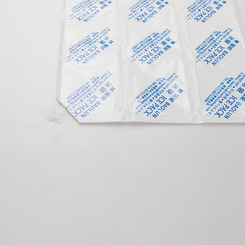 BSG 290*195mm 12pcs in one  Ice Packs For Injuries Disposable Bulk Dry Ice Pack Flexible Ice Pack For Lunch Box