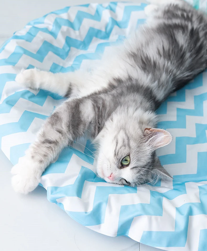 Summer Cooling Mat Sleeping Pad Various Sizes Printed Design for Dog Travel