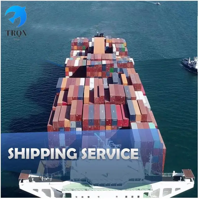 Судоходный агент из Китая в Индию в Южную Африку Дубай Somalia Morocco Шэньчжэнь морская Доставка из Китая в Тринидад и Тобаго