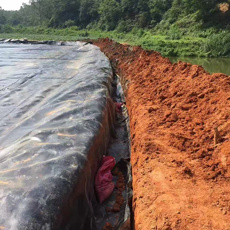 Top Quality OEM Factory Low Price Promotional Geomembrane Per Meter square