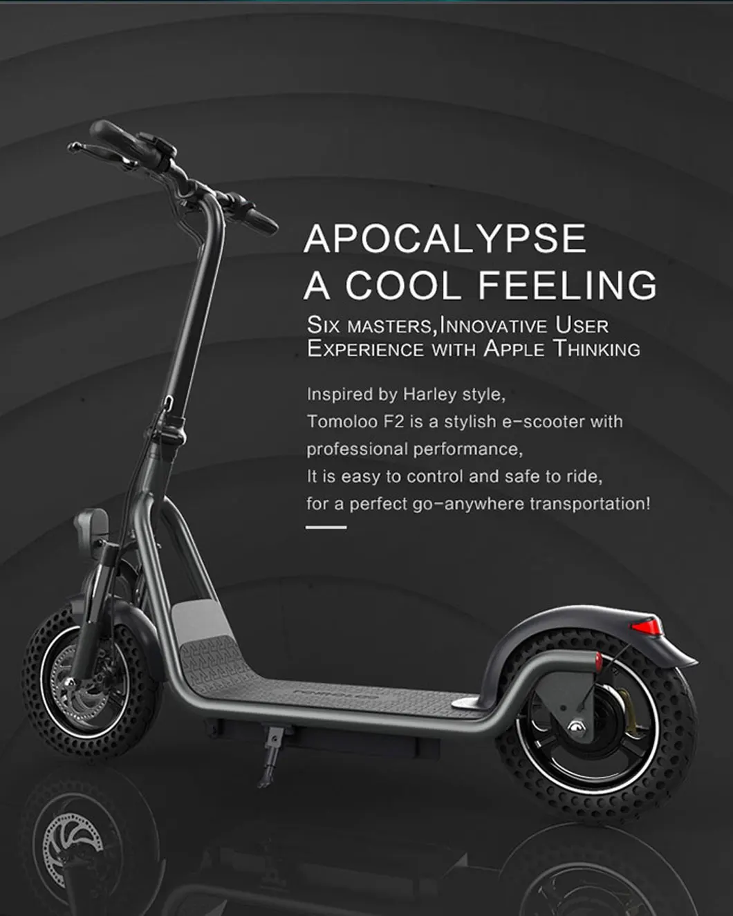 Powerful Off Road 48V 16Ah 350W 700W Adult rear Motor Foldable Electric Scooter