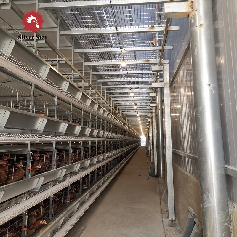  Птицеводство курица петух клетка для продажи