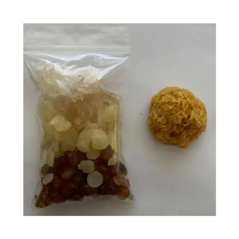 China High Quality Mushroom White Freeze Dried White Fungus For Sale