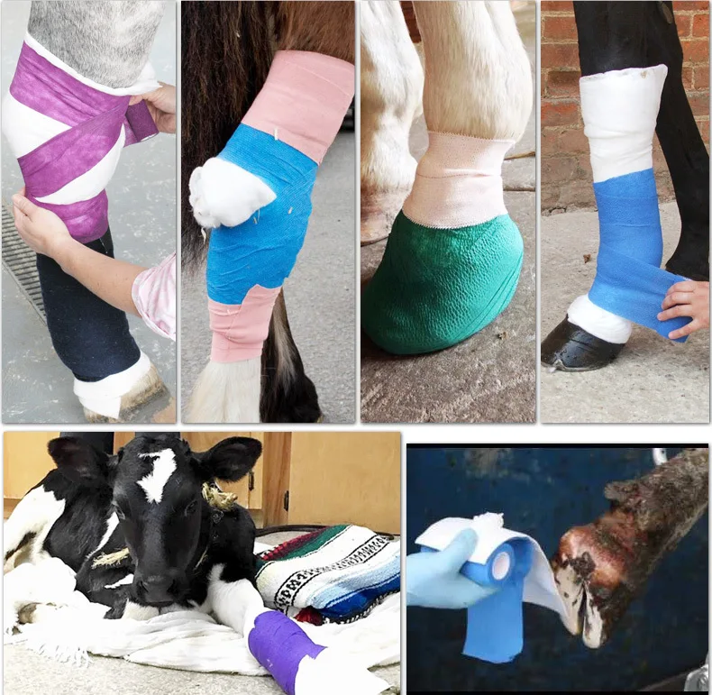 Elastic fabric wraps horseshoes and other pets with their own adhesive tape Veterinary bandages