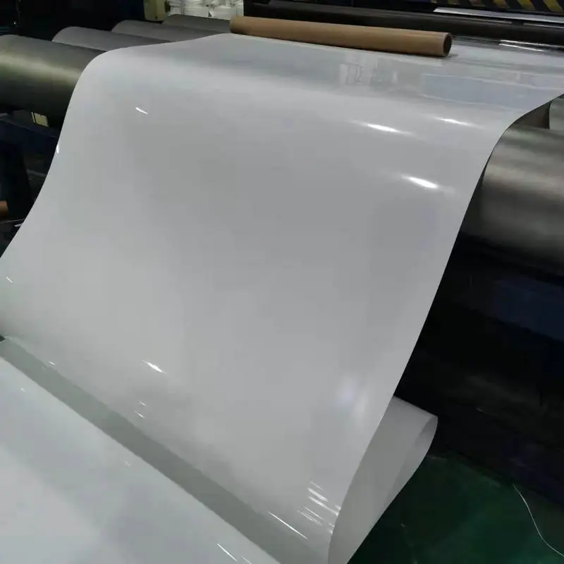 Wholesale Pp Plastic Sheet 0.25 0.5 0.8 1.0 1.2mm Thin Polypropylene Roll for Thermoforming