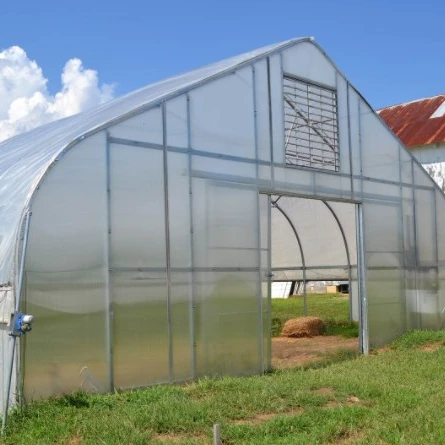 
Single Span Low Cost Tunnel PE Film Greenhouse For Flowers 
