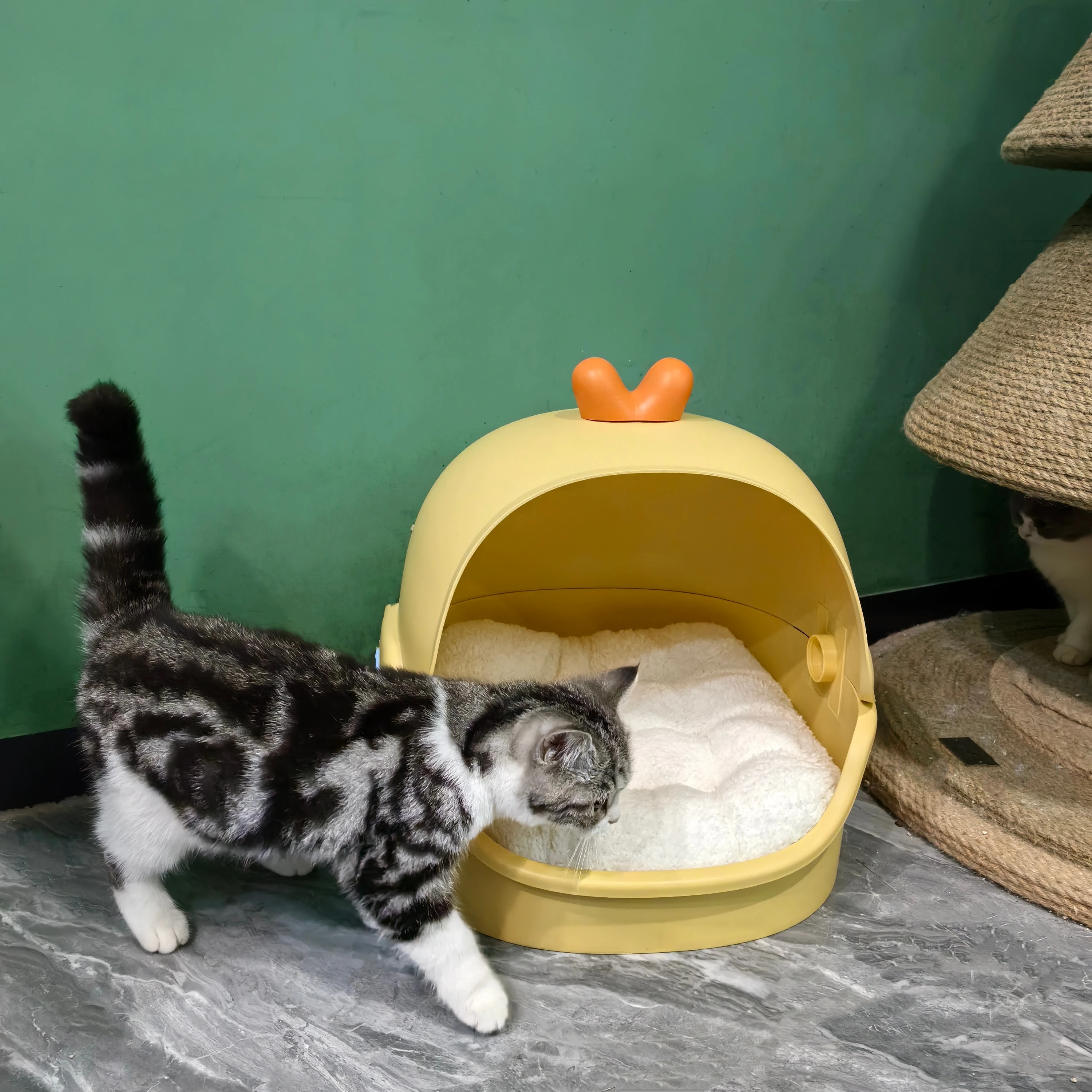 Гнездо для кошки