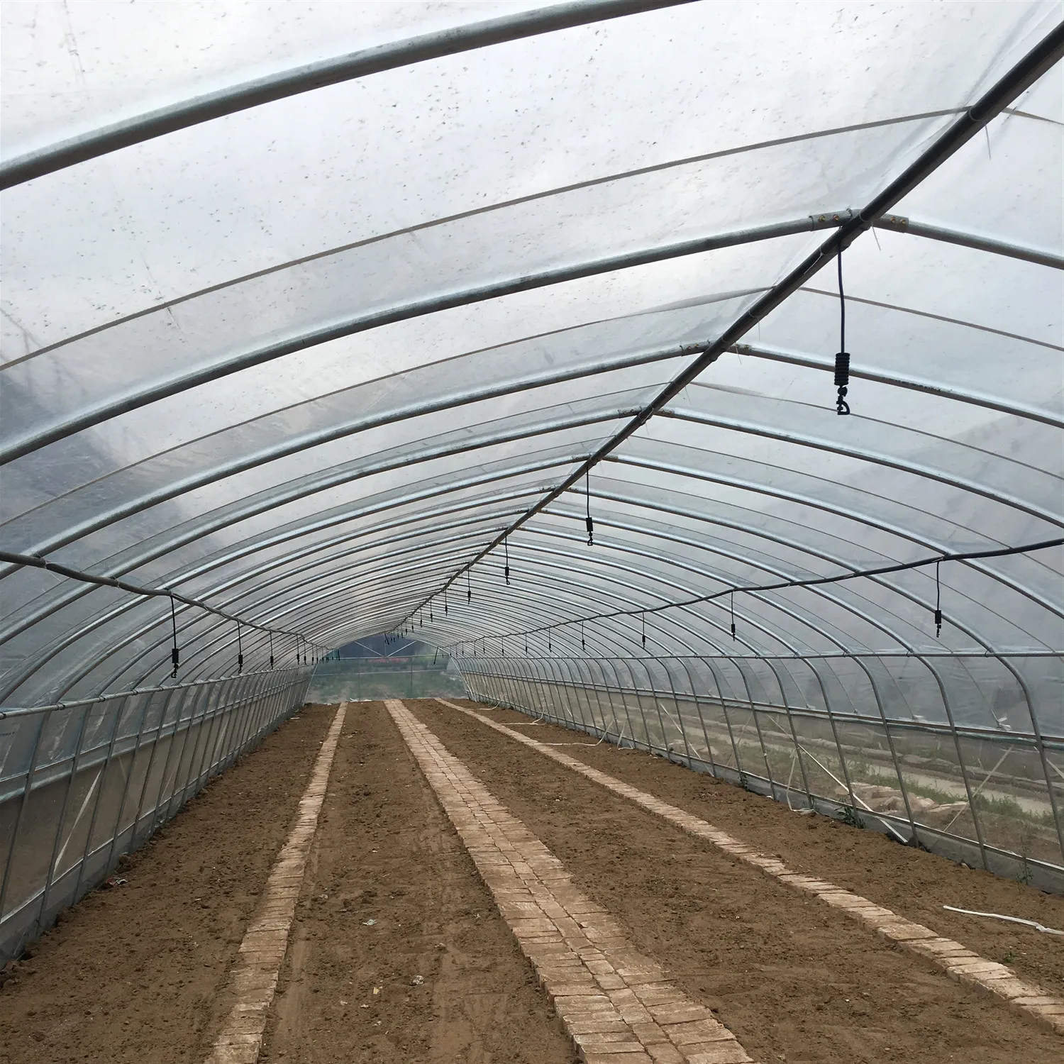 Low Cost Mini Tunnel Greenhouse for Tomato/Cucumber/Seed Breeding for Sale