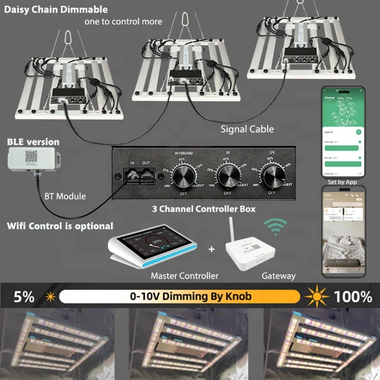 Daisy Chain 320w.jpg