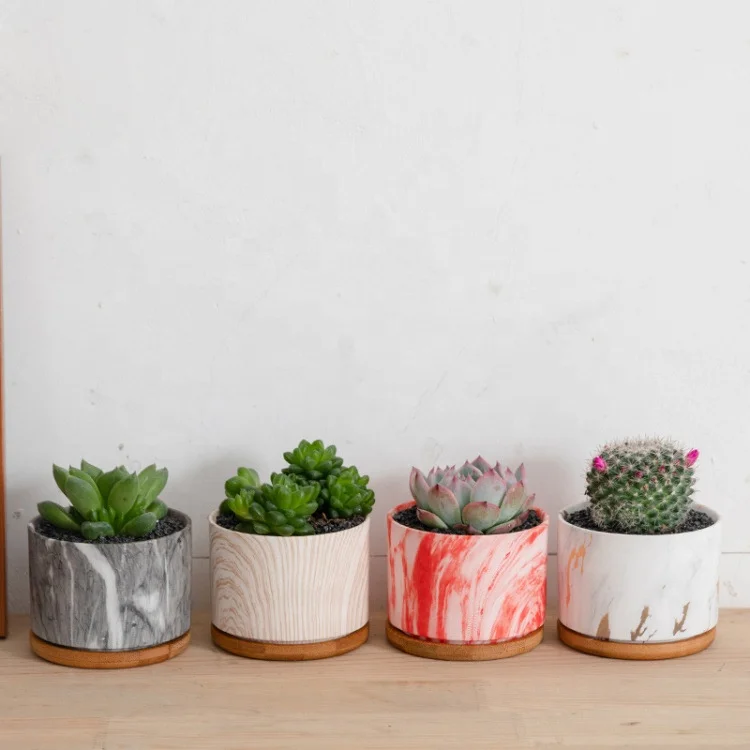 China Decorative Modern Indoor Mini Small Ceramic Bonsai Succulent Plant Pot Flower Pot