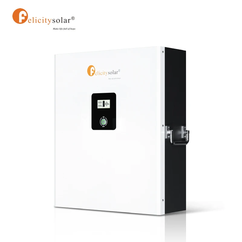 felicity solar system 5KWH solar energy storage lithium battery 51.2v LifePO4 Lithium Battery Pack