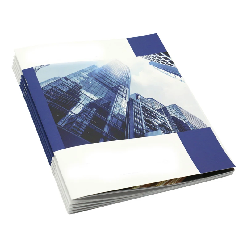 Colorful Printing Folding Flyer Custom Premium Coated Paper Product Packing Screen Printing Paper Board Offset Printing Brochure