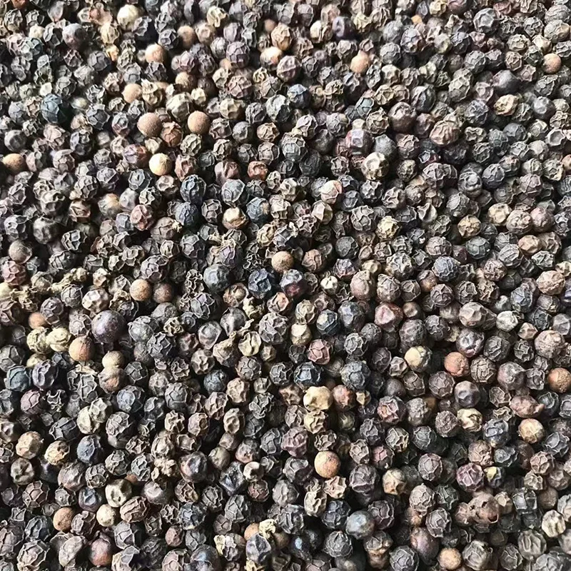ZZH Big Size Black Pepper Bean 630gl with steam Sterilization premium quality Dried black pepper brazil price