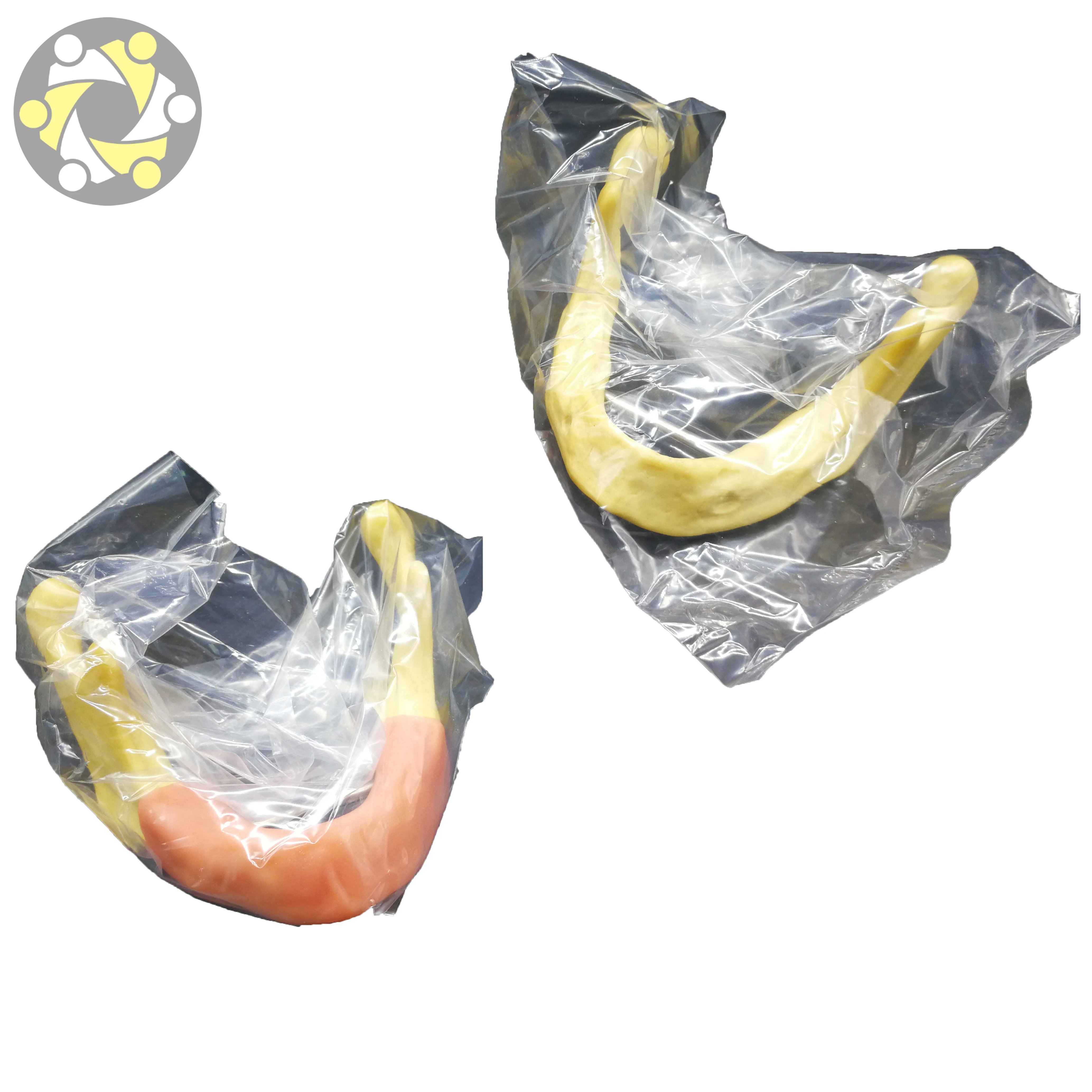 lower jaw Dental Model Implant Practice Model with Silicone gingiva for Student Practice Artificial bone