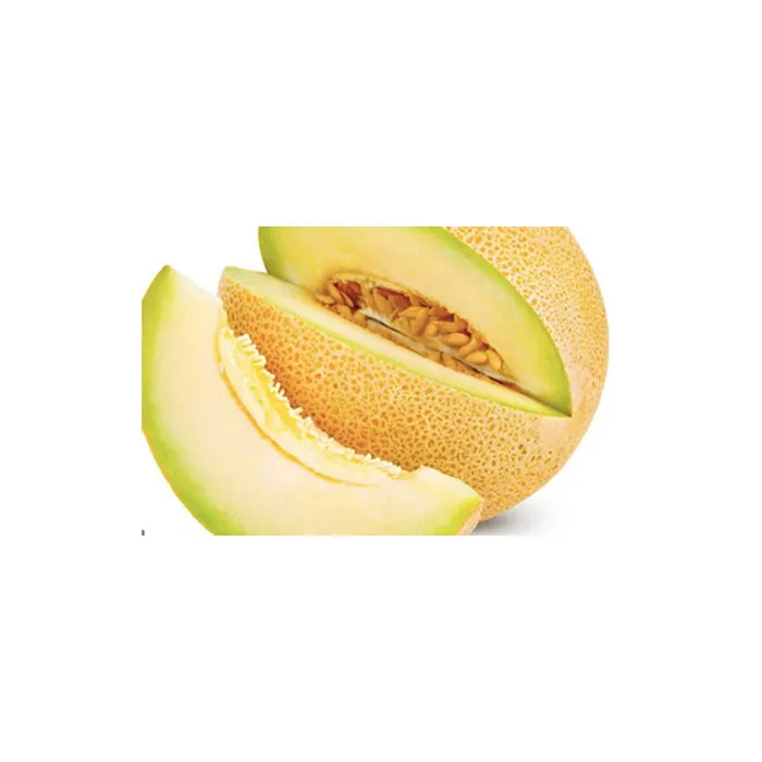 Оптовая продажа, импортеры свежих фруктов экспортируют вкусные золотые дыни galia