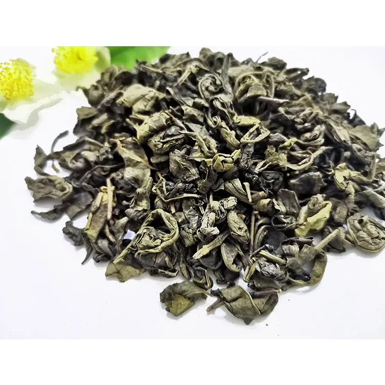 Te Verde Organic Leaf Special Gunpowder Price Green Tea Leaves In Uzbekistan Turkmenistan Afghanistan